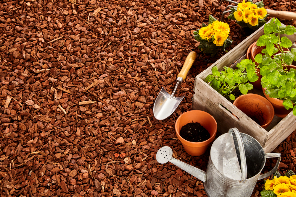 Care For Your Garden With Perth’s Finest Mulch