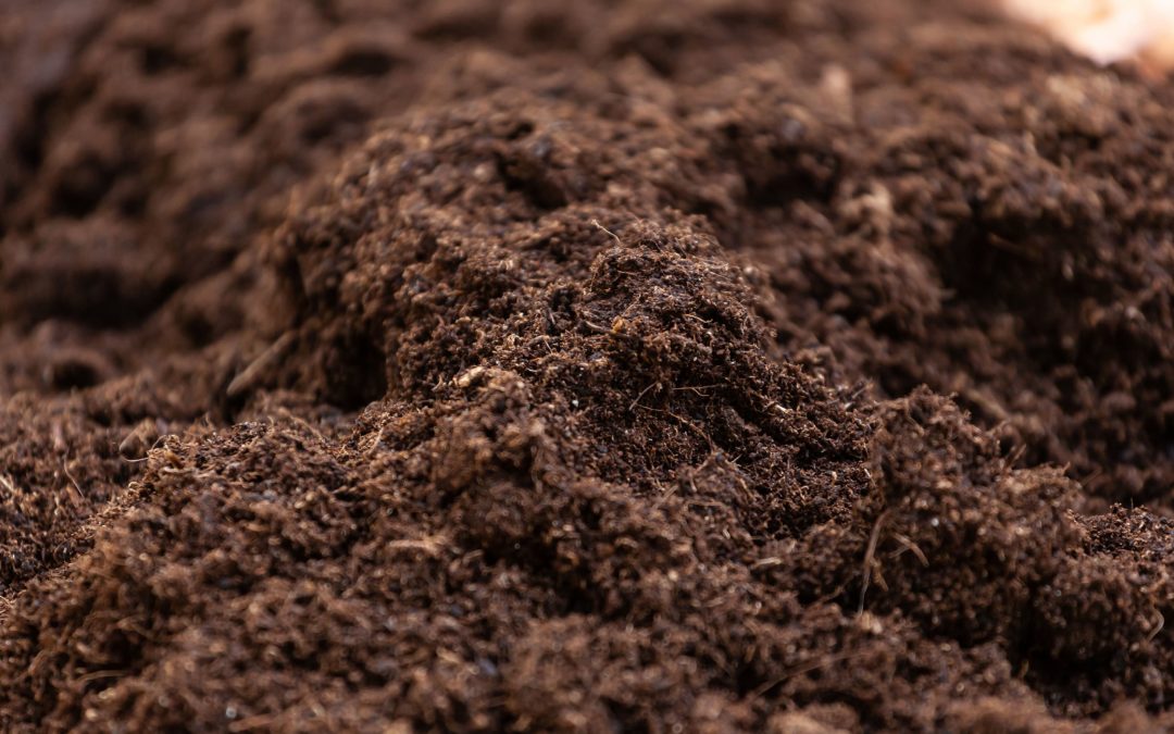 The Benefits of Screened Soil