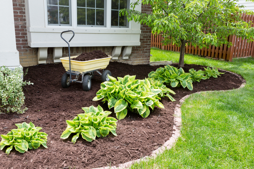 mulch for home use