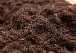high quality top soil - cri sands